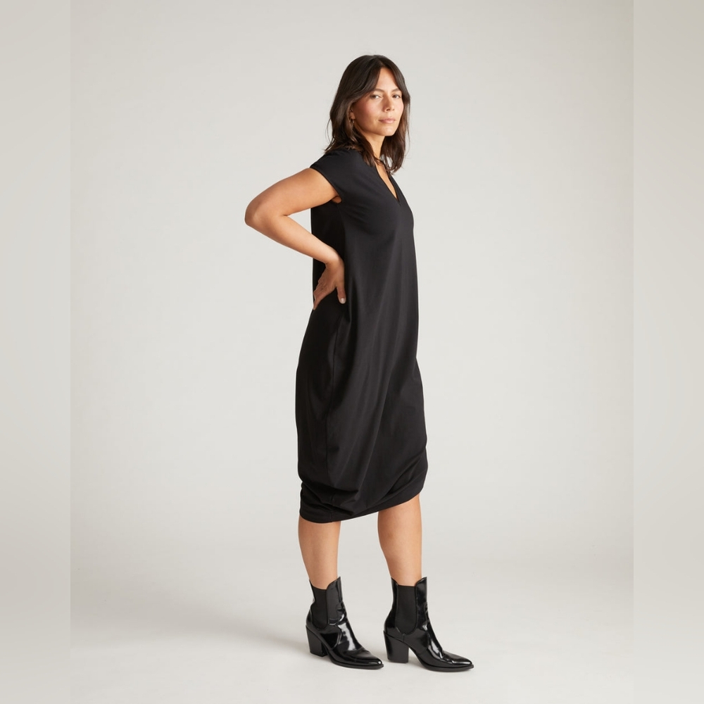 Universal Standard Geneva Dress
